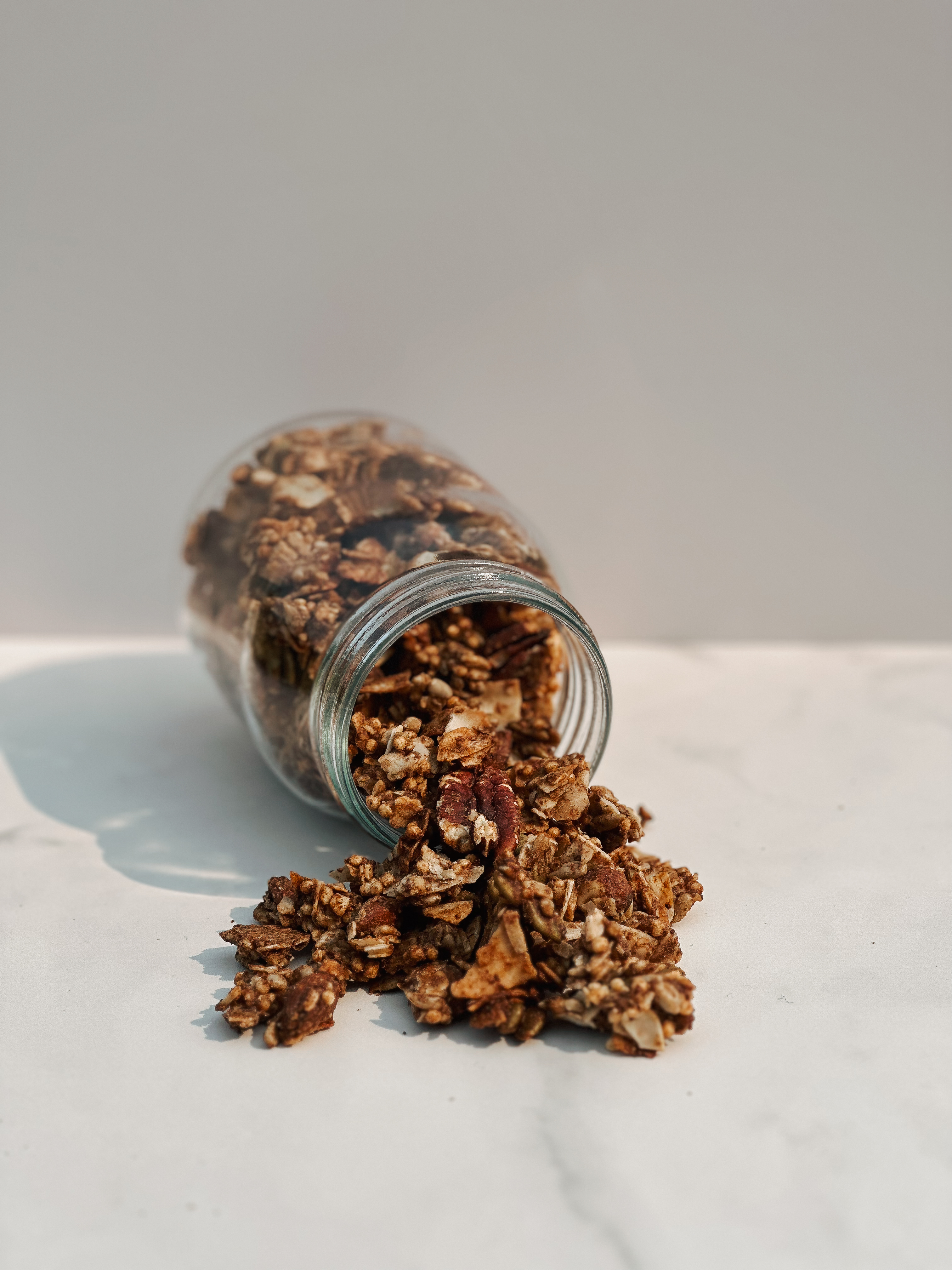 Protein and fiber rich ingredients