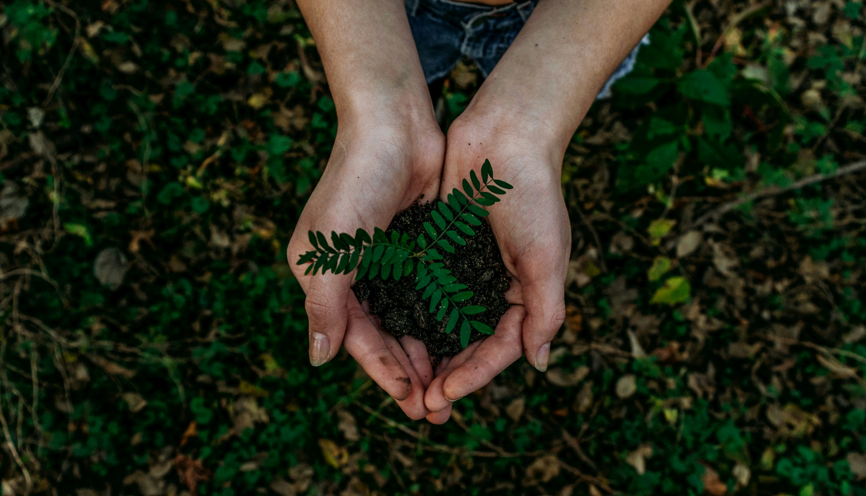 Eco-friendly manufacturing practices
